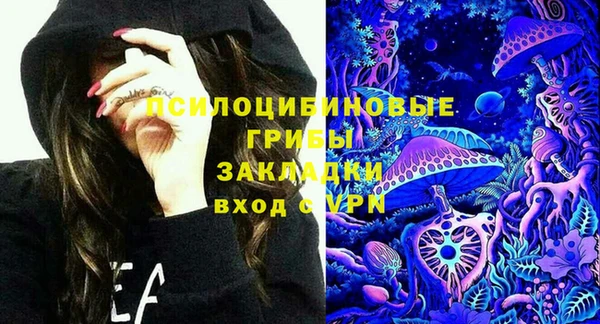 ПСИЛОЦИБИНОВЫЕ ГРИБЫ Няндома