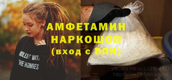 ПСИЛОЦИБИНОВЫЕ ГРИБЫ Няндома